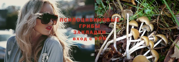 apvp Балабаново
