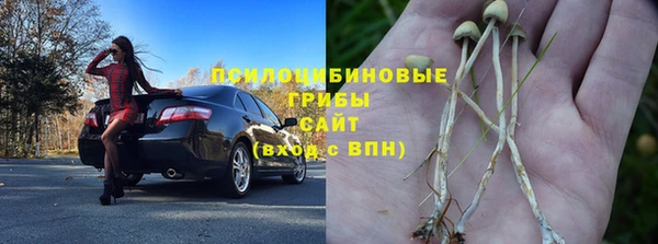 СК Балахна