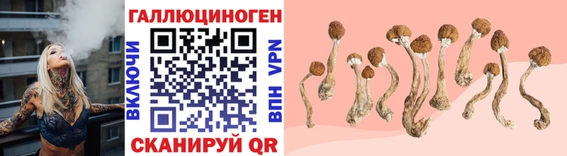 Псилоцибиновые грибы мухоморы  Невель 